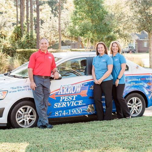 Pest Control & Termites
